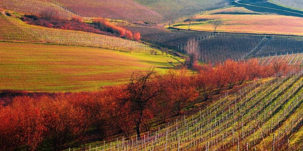 langhe_4_0