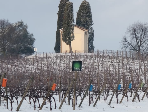 BAVA VIGNA PIEVE CON NEVE